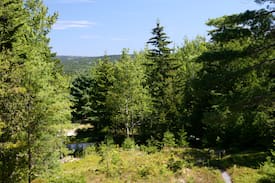 Southwest Harbor House | Rose Cottage in Acadia, 5 minute walk into town