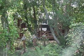 Crowan Other | Millbrook Cottage Shepherd's Hut