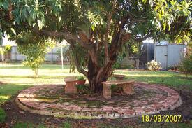 Corowa House | Coromandel Holiday Accommodation