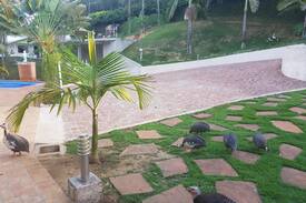 Telemaco Borba Cabin | Casa com Churrasqueira e Piscina em Telêmaco Borba