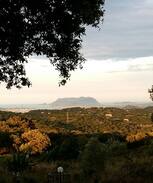 Telti House | In Sardegna tra le colline e il mare di Gallura