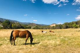Cedaredge Other | Grand Mesa 20 acre modern ranch house