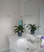 Blackstone House | Grand Colonial Complete