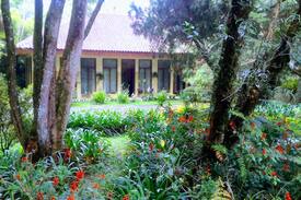 Cipanas House | Misty Mountain Pine Garden Villa.