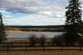 108 Mile Ranch Other | Abel Lake Cabins # 1