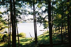Merifield Acres House | Hummingbird Haven, Kerr Lake Rental