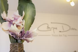 Loerrach Apartment | Carpe Diem 2 room Lörrach city