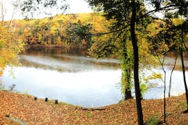 Mount Marion Cabin | 'The Blue Jay Cottage' - Privacy With A View!