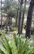 Cisarua Resort | Villa Wirasamala Cisarua Bogor Harian / Bulanan