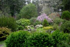 Fort Bragg House | Garden Sanctuary near Fort Bragg