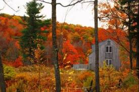 Harrisville Cabin | The Carriage House at Cobb Hill Estate