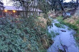 Crawfordsville Other | Calapooia River Ranch Guest House: Brownsville, OR