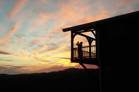 Drummond House | Beautiful log cabin on stilts - 1000 Hills Cabin