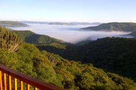 Drummond House | Beautiful log cabin on stilts - 1000 Hills Cabin