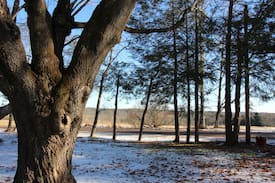Bethel House | Trudy’s Country Retreat: A mile from Bethel Woods