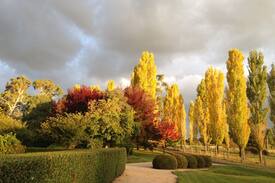 Glen Innes Other | Glen waverly Farmstay and Alpacas