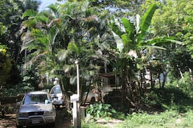 Windsor Hostel | The Last Resort, Dorm 2, Windsor (Cockpit Country)