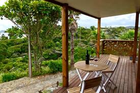 New Lynn House | Piha Tiny House -