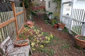 Port Townsend Historic District Apartment | Grace Seymour cottage - monthly rentals only