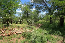 Marloth Park Cabin | Impala Cottage