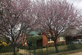 Narrandera House | Narrandera house