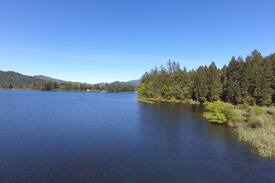 Selma Cabin | Lake Selmac Air BNB