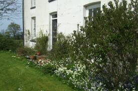Tan-y-groes House | Trecregyn North Farm, Llangrannog + breakfast