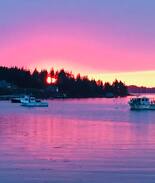 Port Clyde Cabin | Coastline View