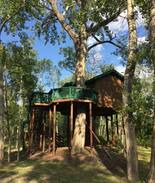 Four Corners Other | Cardinal Treehouse #9 at Gallatin River Hideaway