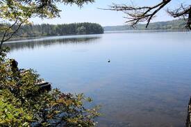 Centreville Cabin | Lake Midway Cottage at Digby Neck Nova Scotia