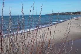Herbster Cabin | Lake Superior's Cranberry River Cottage- The Wren
