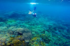 Caraga Other | Gladstone Pebble Beach Resort