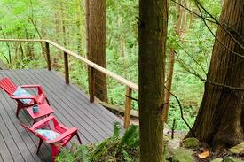 Upper Lonsdale House | North Van "Tree House" - A private forest suite