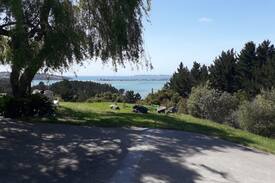Whangateau Cabin | Pine Tree Cottage Matakana