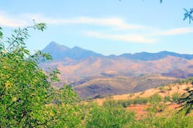 Rio Rico House | Tenagra - Photography, Desert Life, Bird Watching