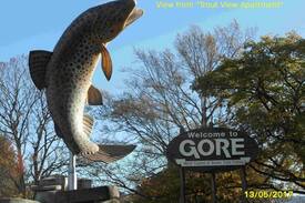 Gore Apartment | Trout View Apartment - Gore