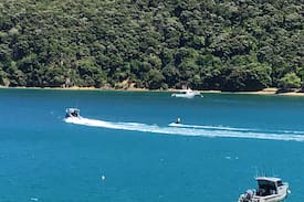 Marlborough Other | d'Urville Island Holiday Home