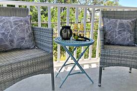 Downtown Dunedin Cabin | Walk to Waterfront & Downtown ~Barefoot Parrot 3