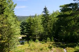 Southwest Harbor House | Lookout Cottage in Acadia, 5 minute walk into town