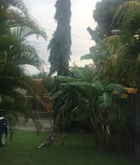 Omoa House | Casa de Playa Flipper Beach