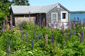 Gouldsboro Cabin | Cutest Cottage on Downeast Coast