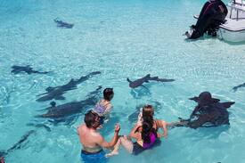 Black Point Cabin | Long Bay Cottage, Black Point Exuma Cays