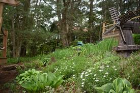 Washago Cabin | Glennridge Manor on the Tranquil Green River