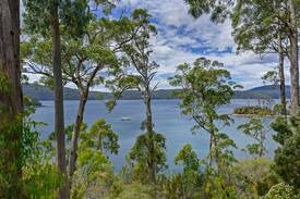 Port Arthur Cabin | Ellis Cottage by the Sea, Stewarts Bay,Port Arthur