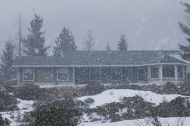 Mount Shasta House | House of Bass and Lilies