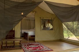Mara North Conservancy Other | Lorian Safari Camp, Masai mara national reserve