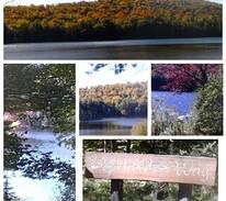 Fort Ann House | "On Thurber Pond"