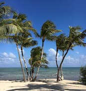 Islamorada House | The Russell Estate, 2 Acrs on OCEAN, tropical 3/2
