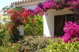 Albufeira Villa | VILLA CASA TREVI - South facing, Free Fibre Wi-Fi.