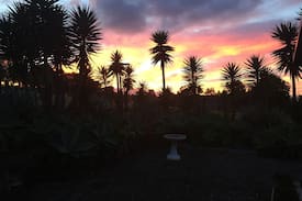 Waipapa Cabin | Shepherds Shack - No cleaning fee.
